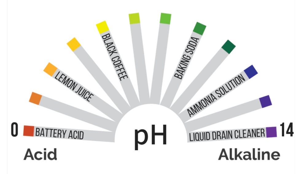pH Management | Ensuring Bigger Yields - Plant Life Co Shop