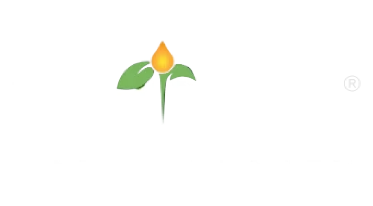 Plant Life Logo
